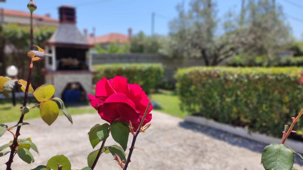 Elina House And Garden Villa Nikiti  Exterior photo